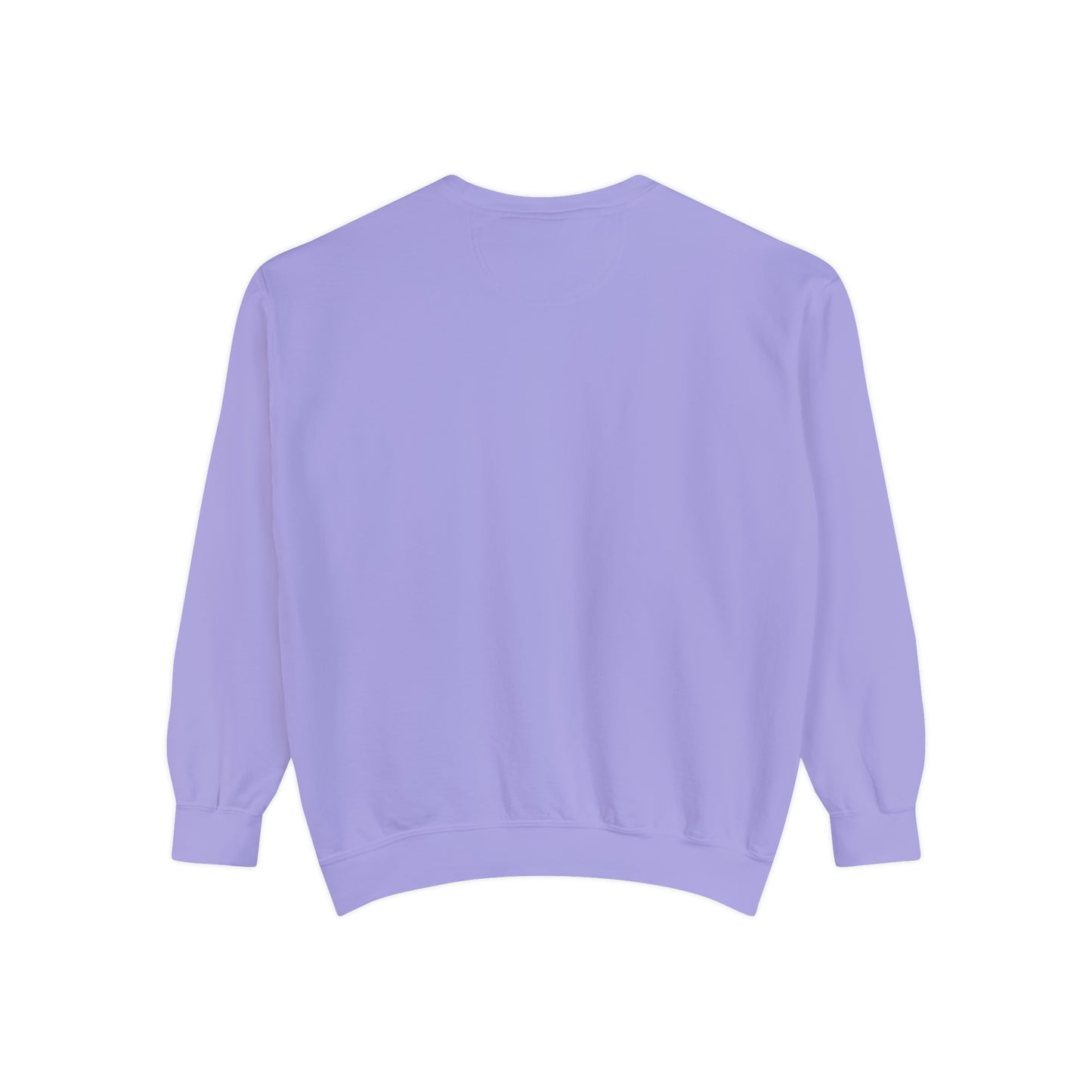 Another Fine Day - Comfort Colors Sweatshirt